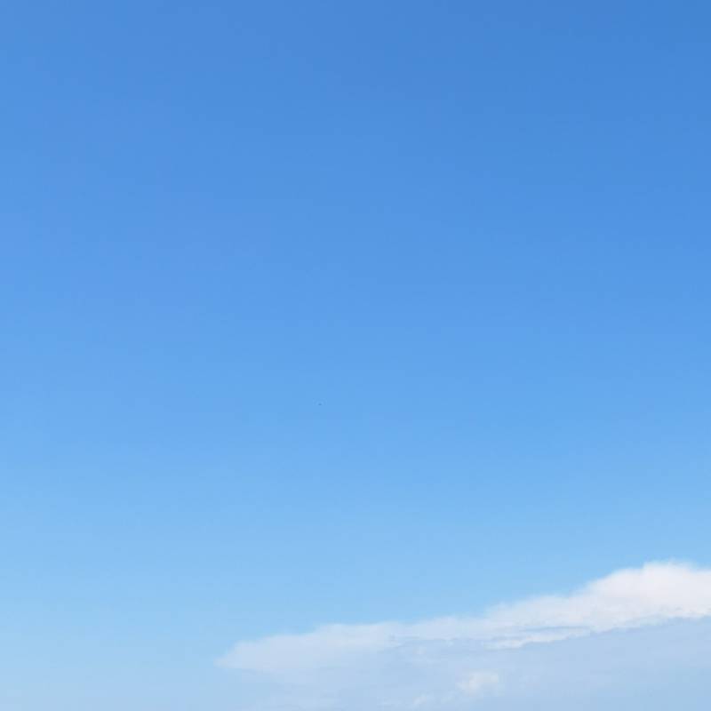 Fotosegnalazione di Noale