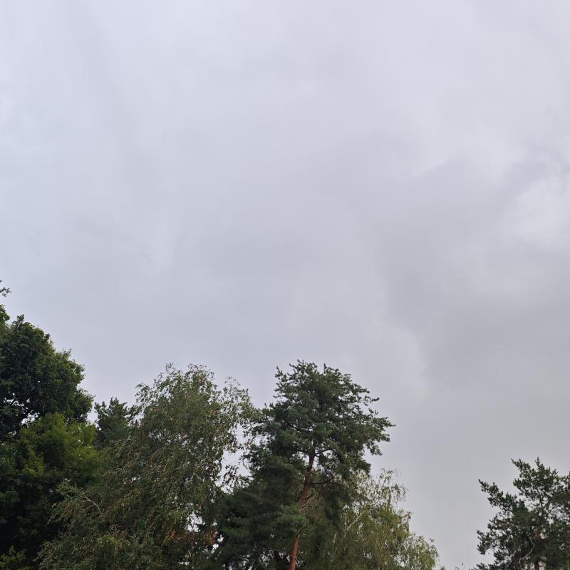Fotosegnalazione di Lentate sul seveso