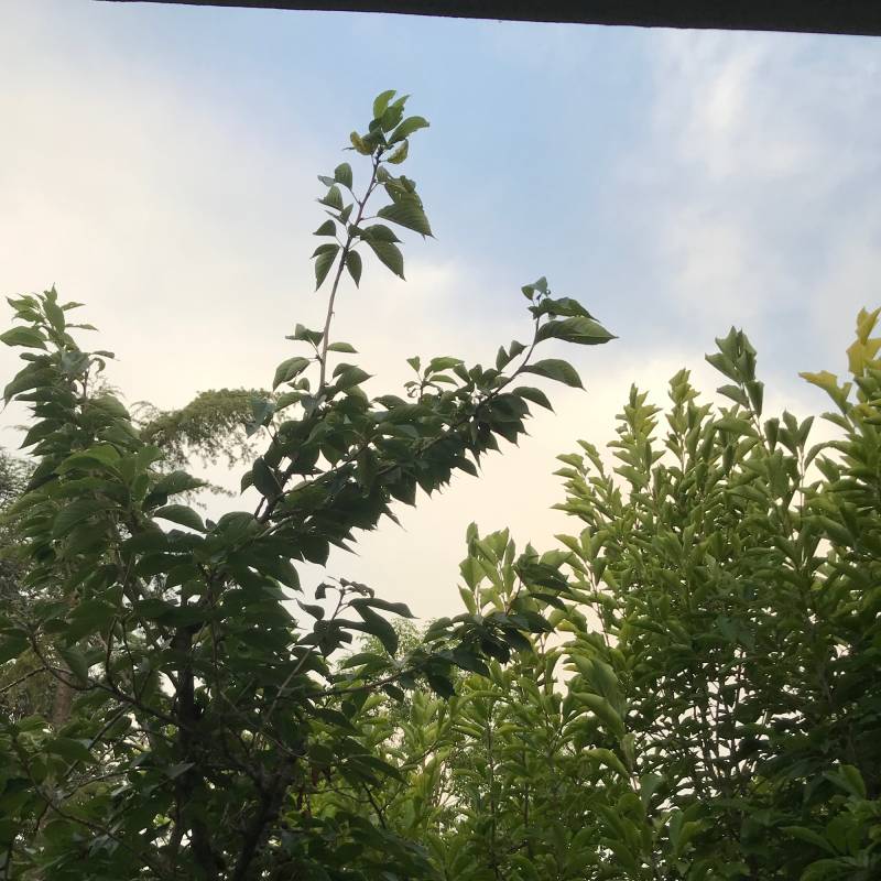 Fotosegnalazione di Bastiglia
