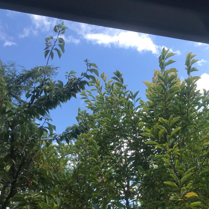 Fotosegnalazione di Bastiglia
