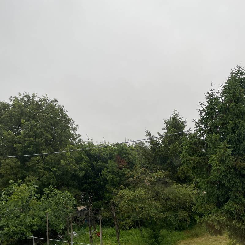 Fotosegnalazione di Bastiglia