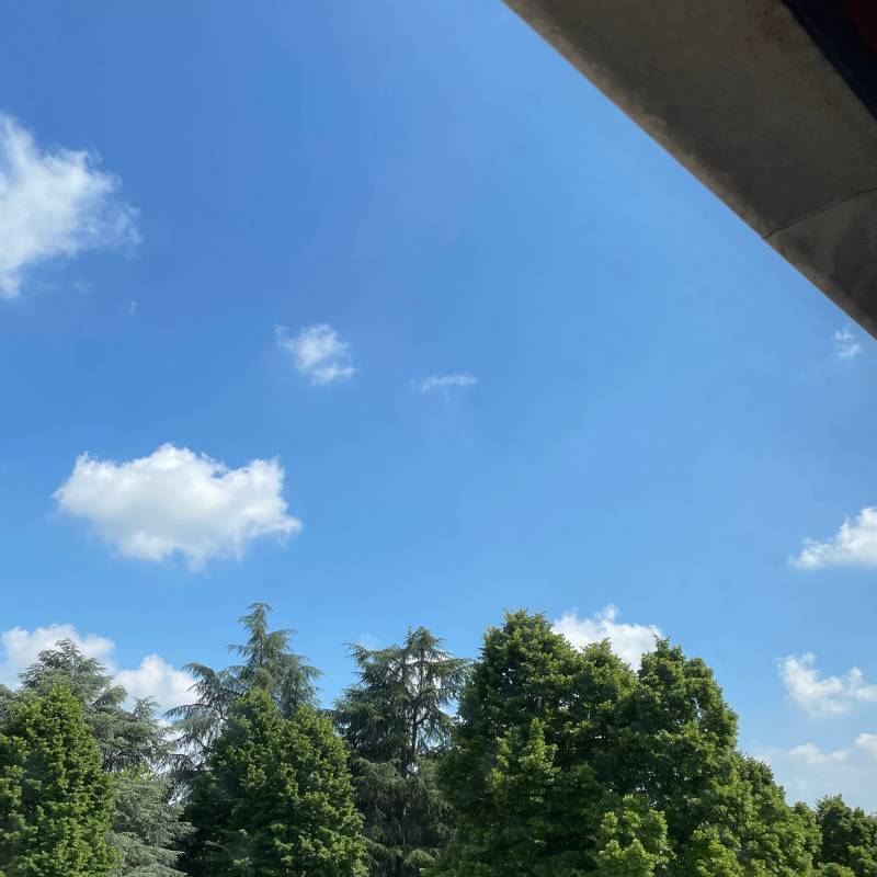 Fotosegnalazione di Bastiglia