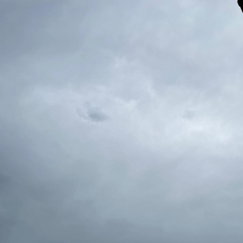 Fotosegnalazione di Bastiglia