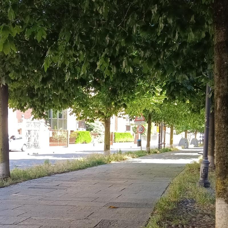 Fotosegnalazione di Venaria reale
