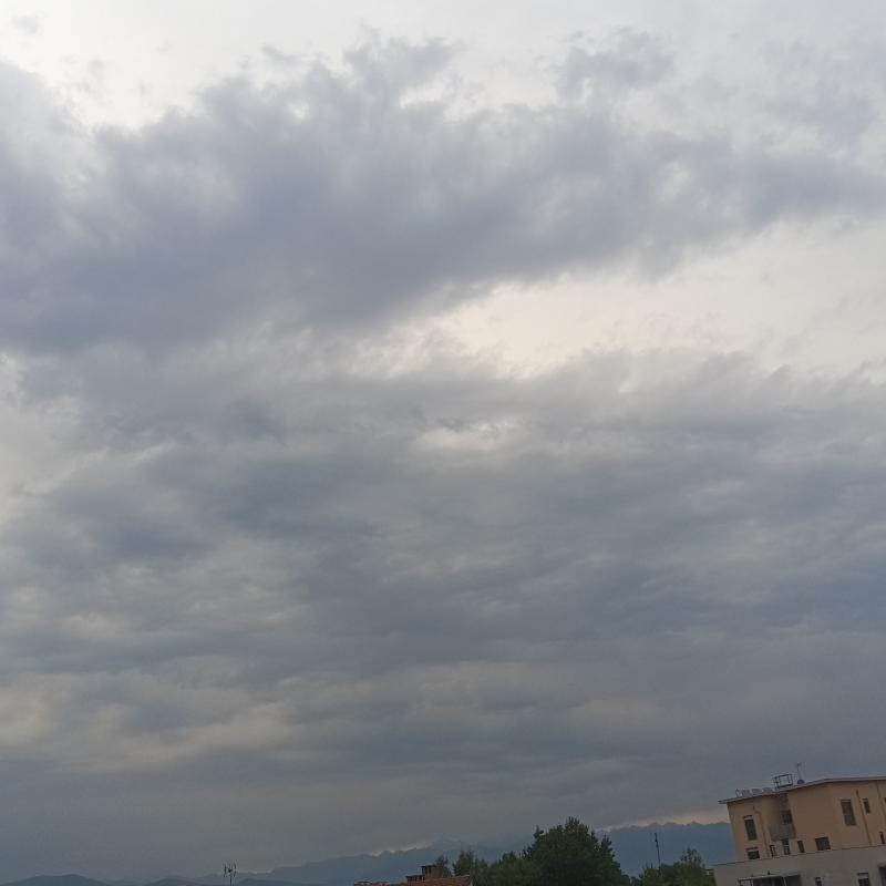 Fotosegnalazione di Torino borgo vittoria