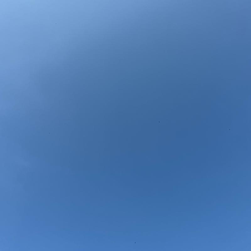 Fotosegnalazione di Cittadella