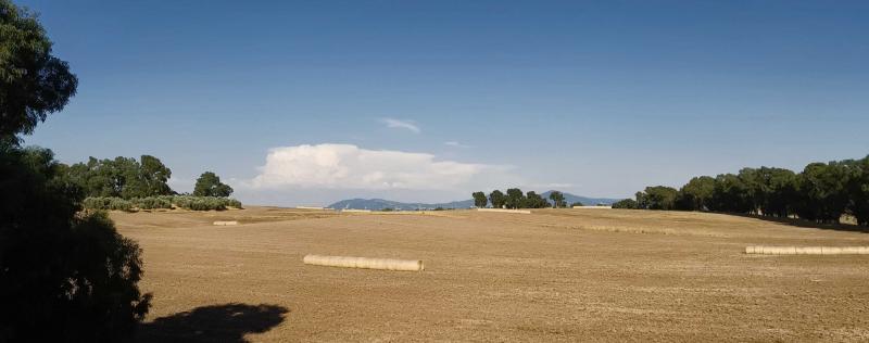 giornata da bollino rosso