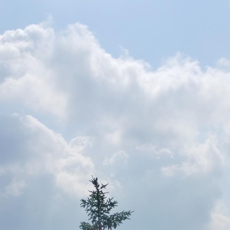 Foto tempo Selvino