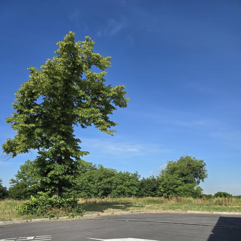 Fotosegnalazione di Borgo virgilio