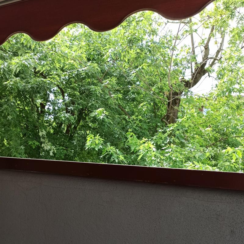 Fotosegnalazione di Crema