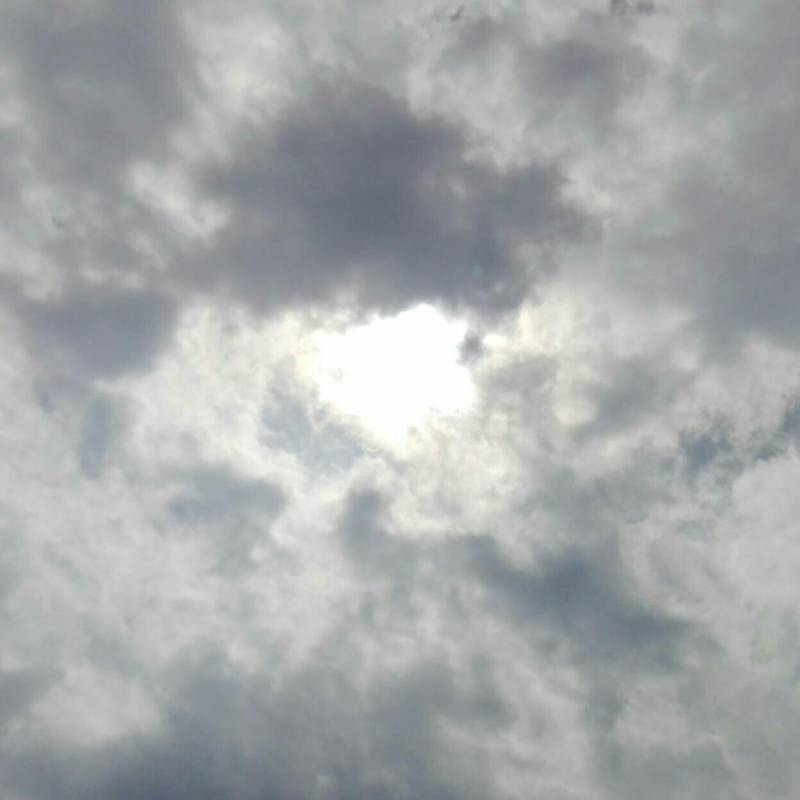 Fotosegnalazione di Capo mele