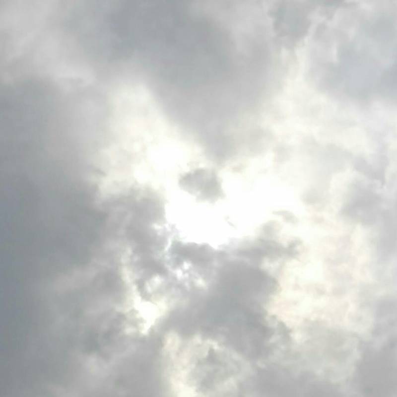 Fotosegnalazione di Capo mele