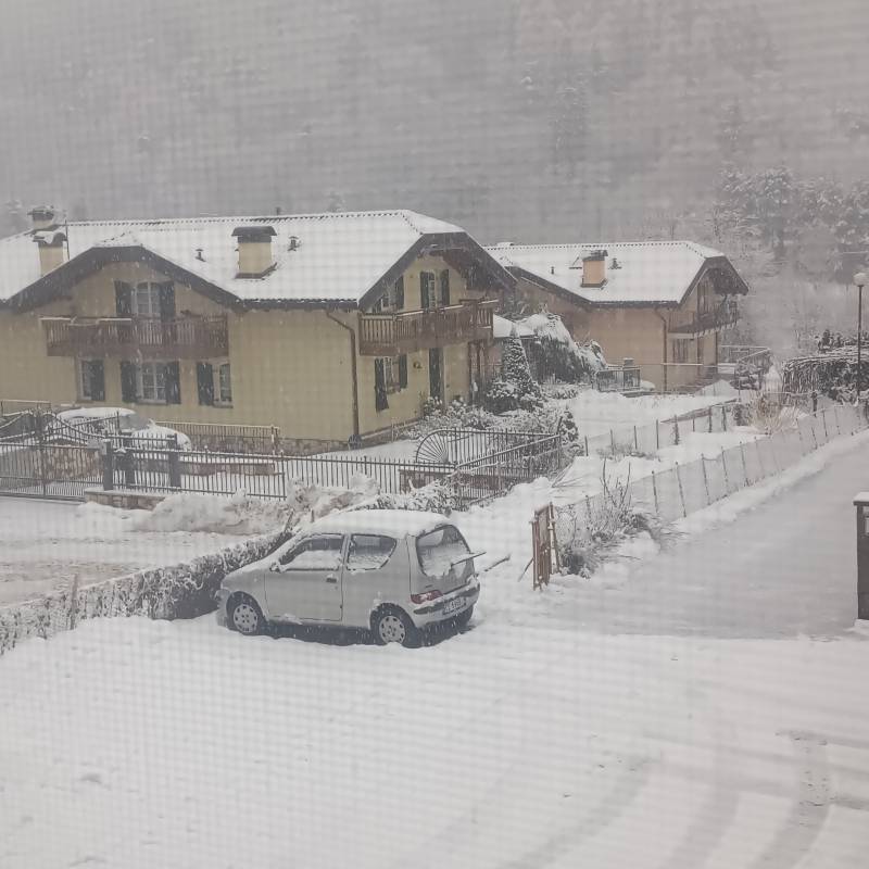 Fotosegnalazione di Lona lases