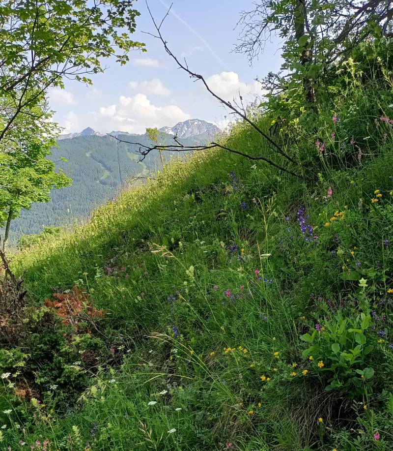 Bellissima Bardonecchia