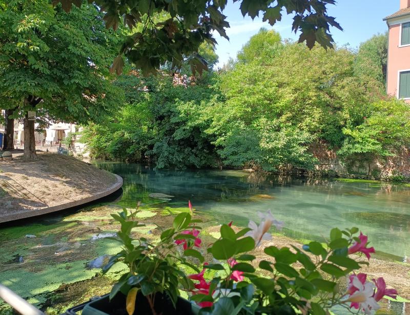 pescheria a Treviso