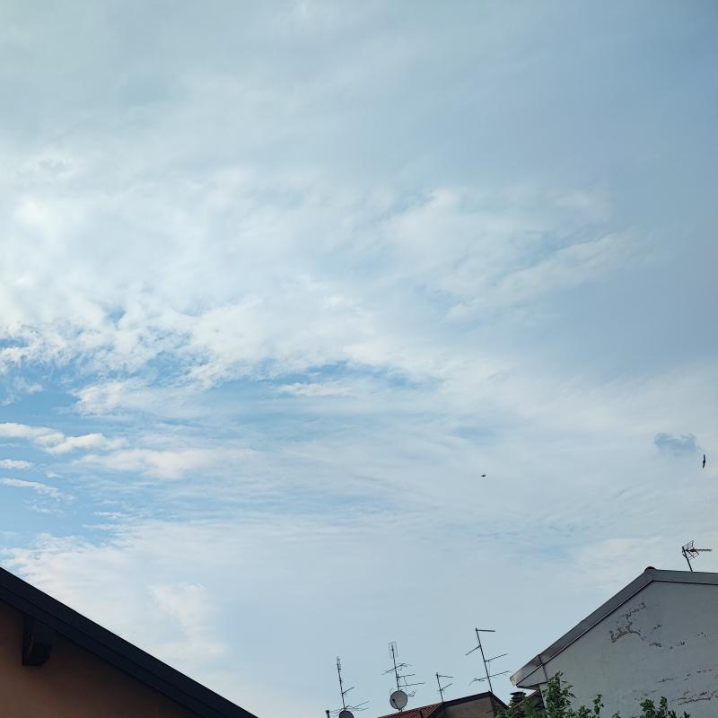 Gerenzano 19072024
