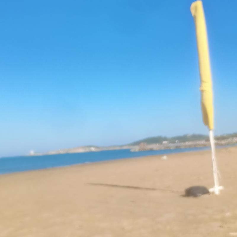 Scialmarino