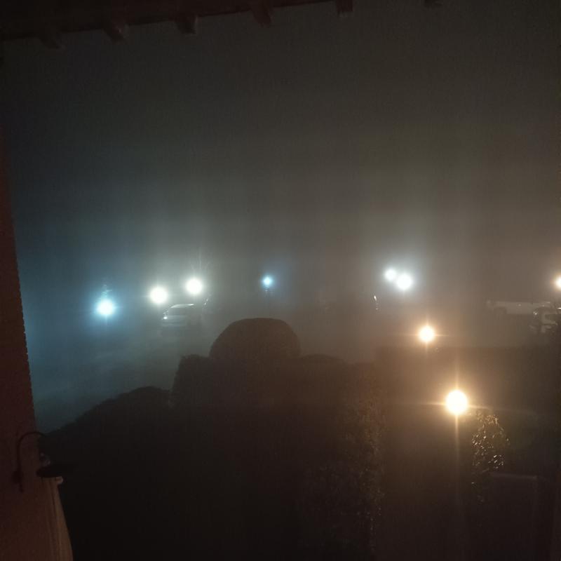 Serata nebbiosa