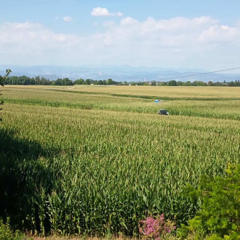 Fotosegnalazione di Buttapietra