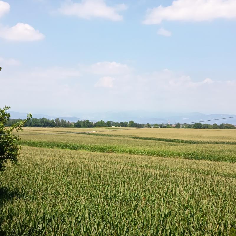 Giornata soleggiata calda