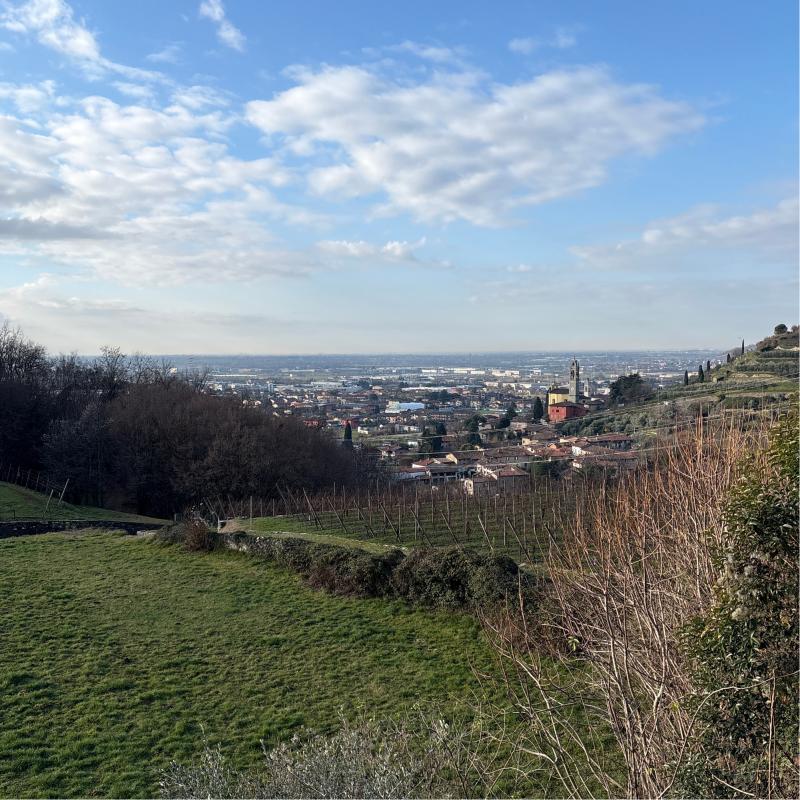 Fotosegnalazione di Carobbio degli angeli