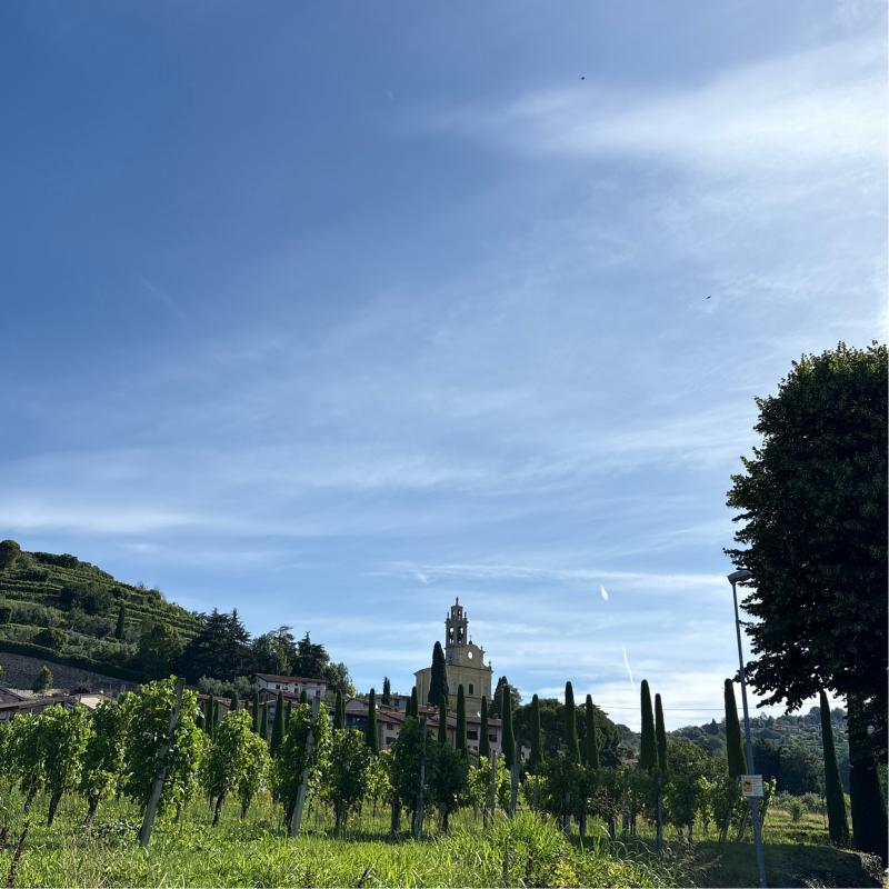 Fotosegnalazione di Carobbio degli angeli