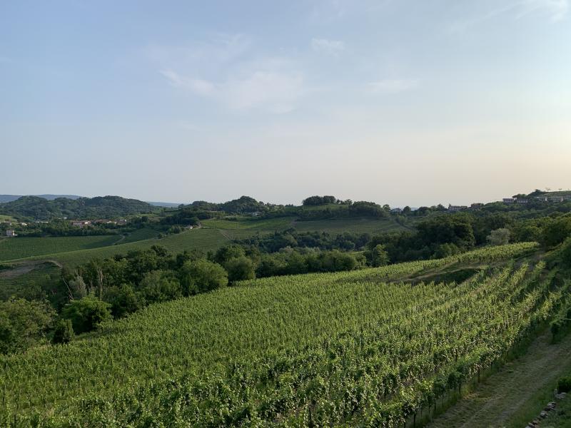 San floriano del collio - teverjan