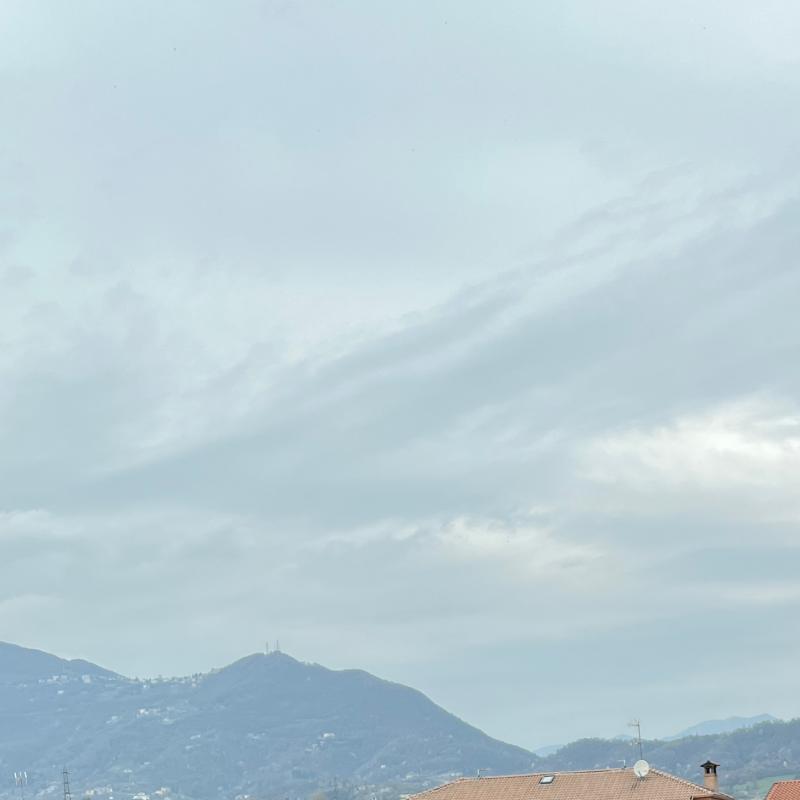Fotosegnalazione di Paladina