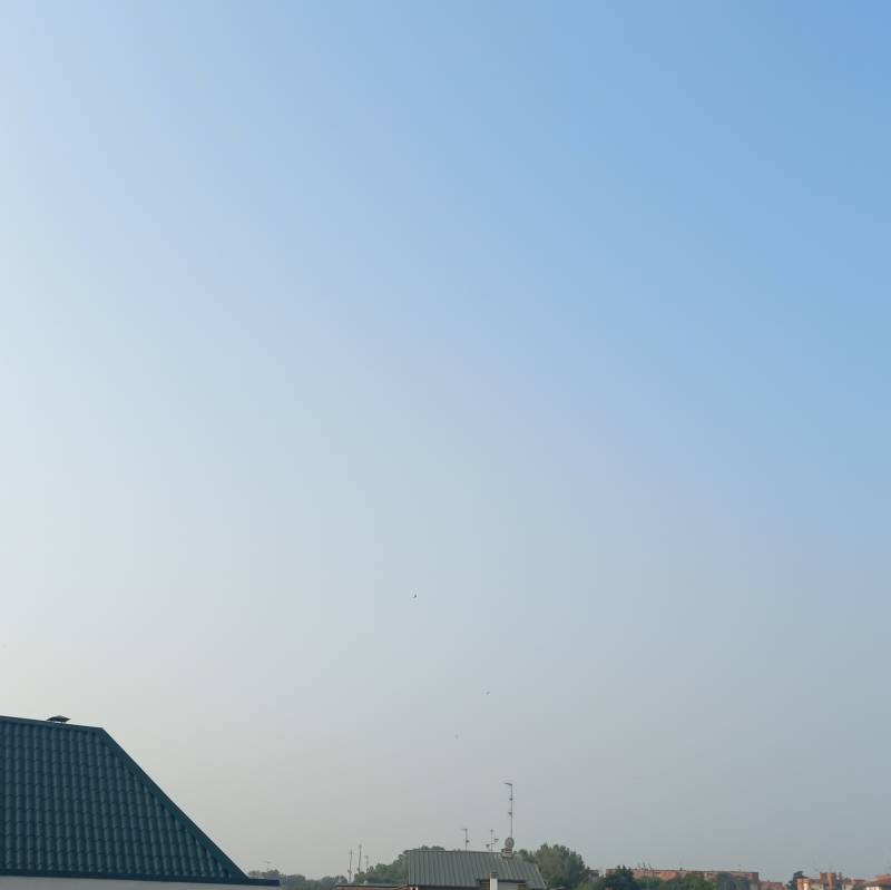 Fotosegnalazione di Fizzonasco