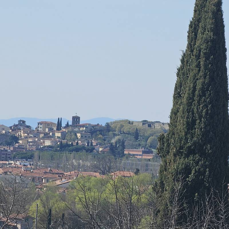 Fotosegnalazione di Arezzo staggiano - la pace
