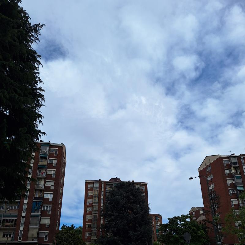 Fotosegnalazione di Torino santa rita