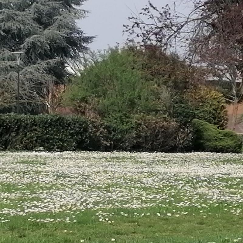 Fotosegnalazione di Paderno dugnano