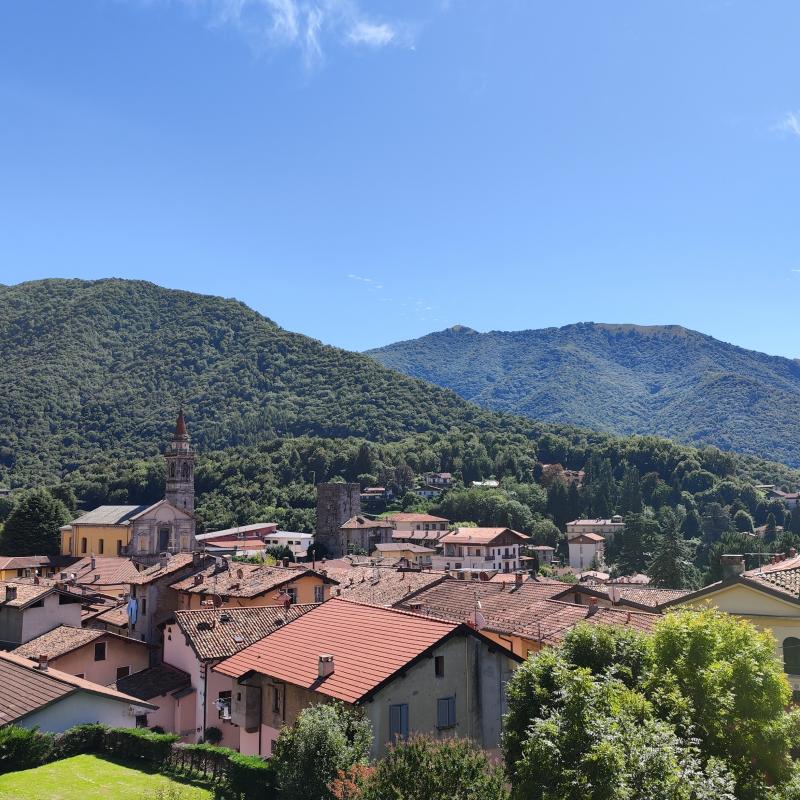 Fotosegnalazione di Asso