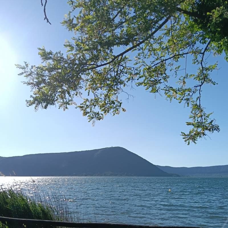Punta del lago
