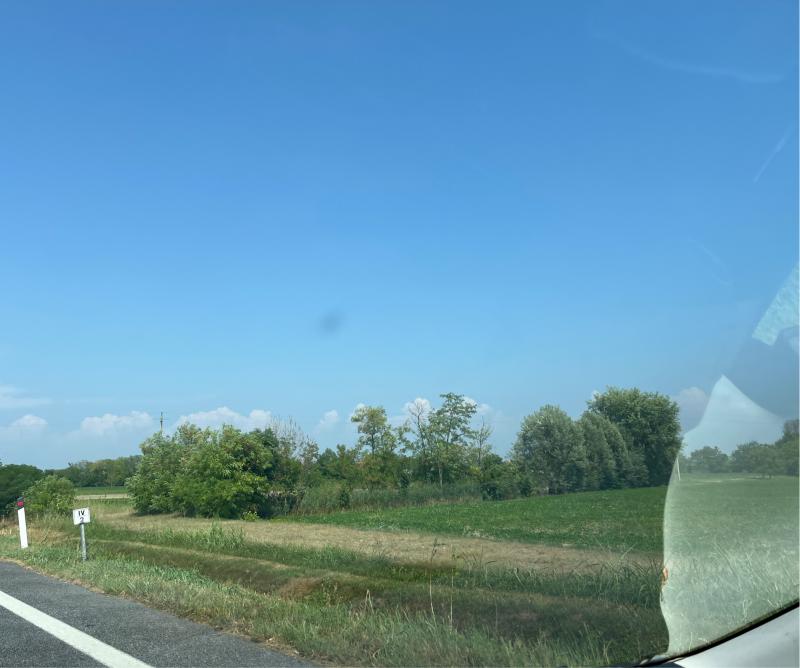 Ma vi sembra che piove