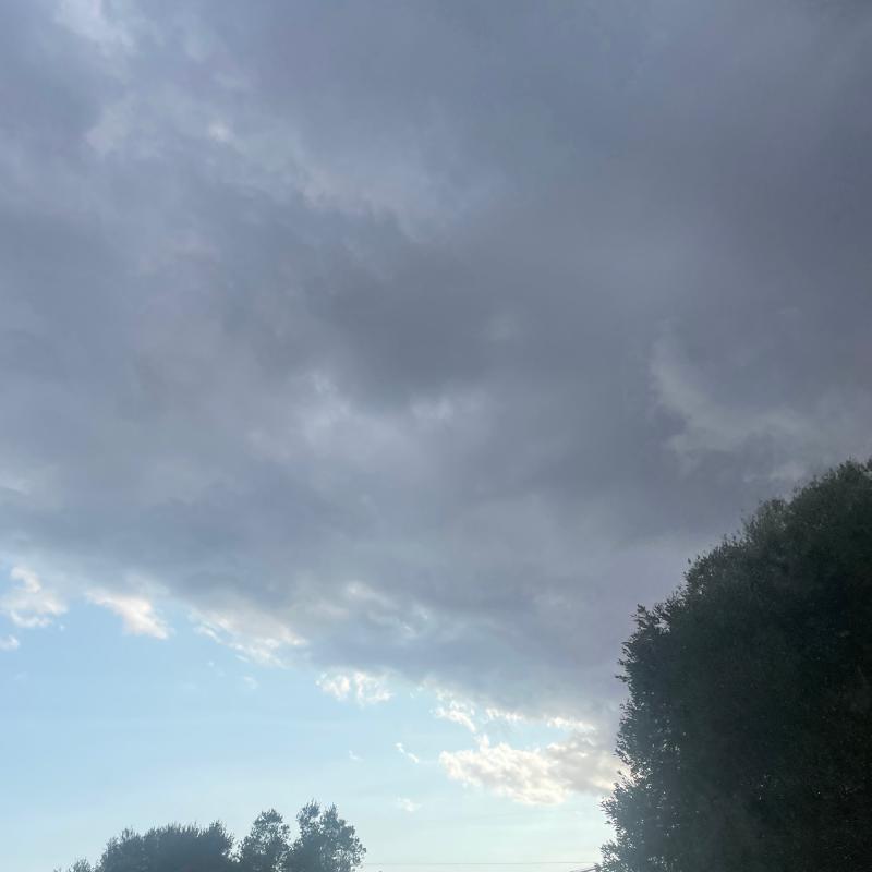 Fotosegnalazione di Mottola