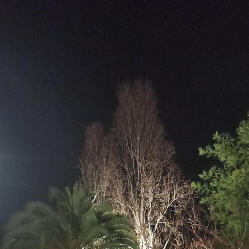 Fotosegnalazione di Livorno est - valle benedetta