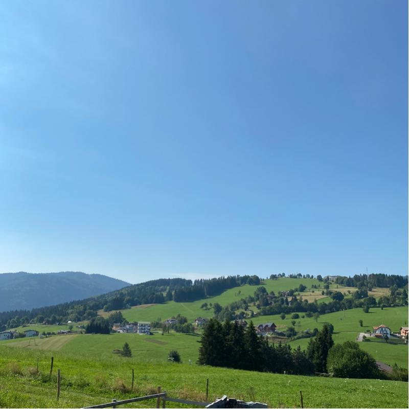 Fotosegnalazione di Tresche' conca