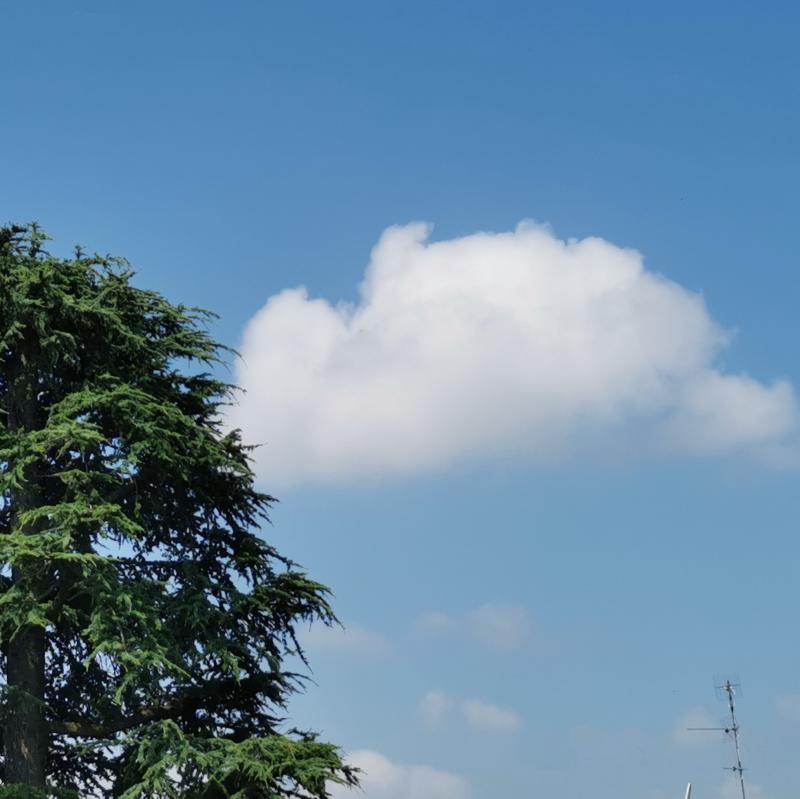 Fotosegnalazione di Forli' centro