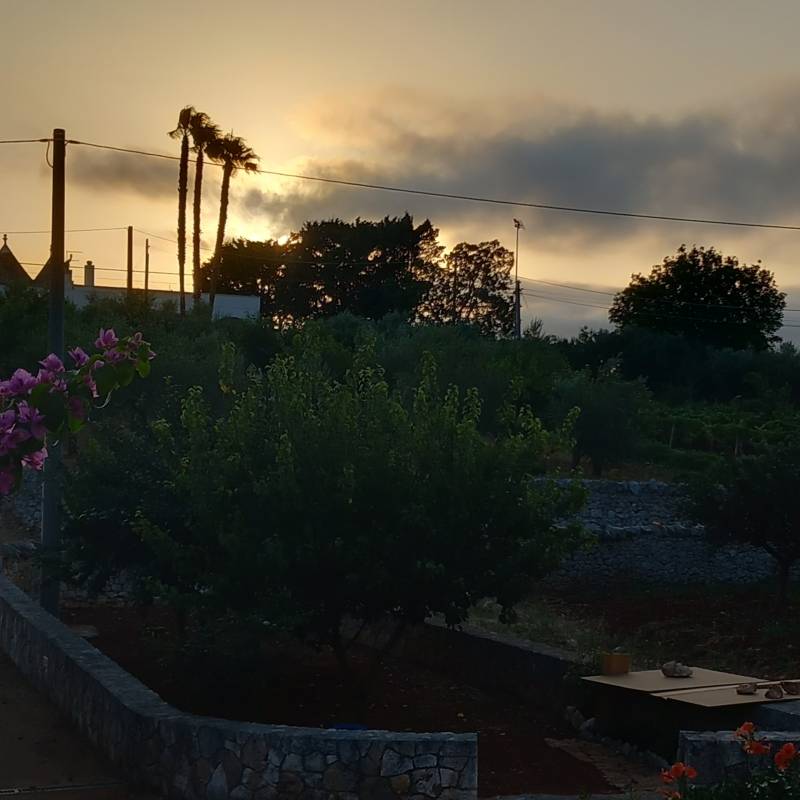 Fotosegnalazione di Locorotondo