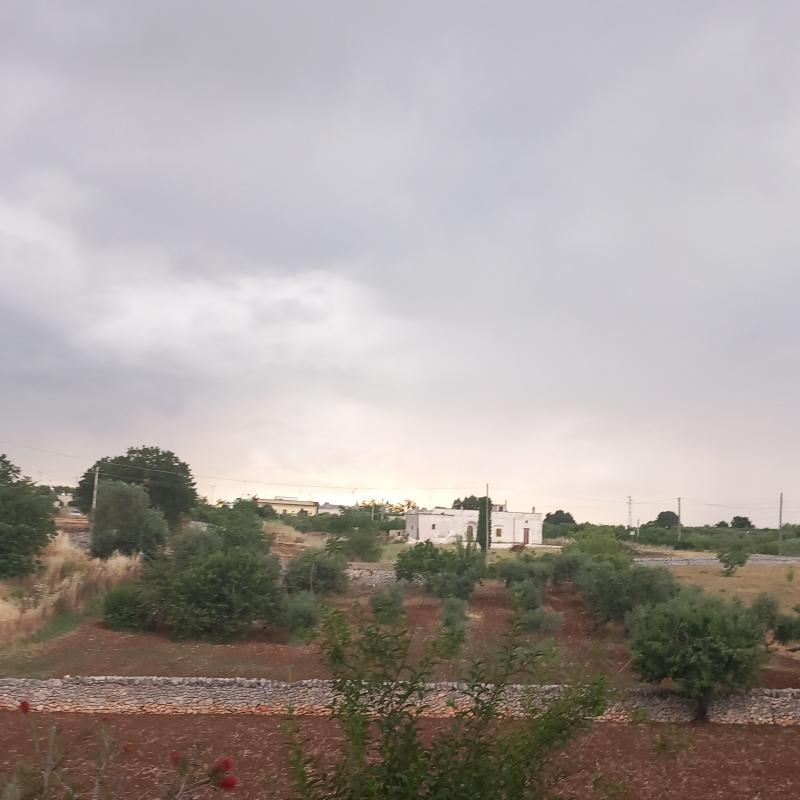 Fotosegnalazione di Locorotondo