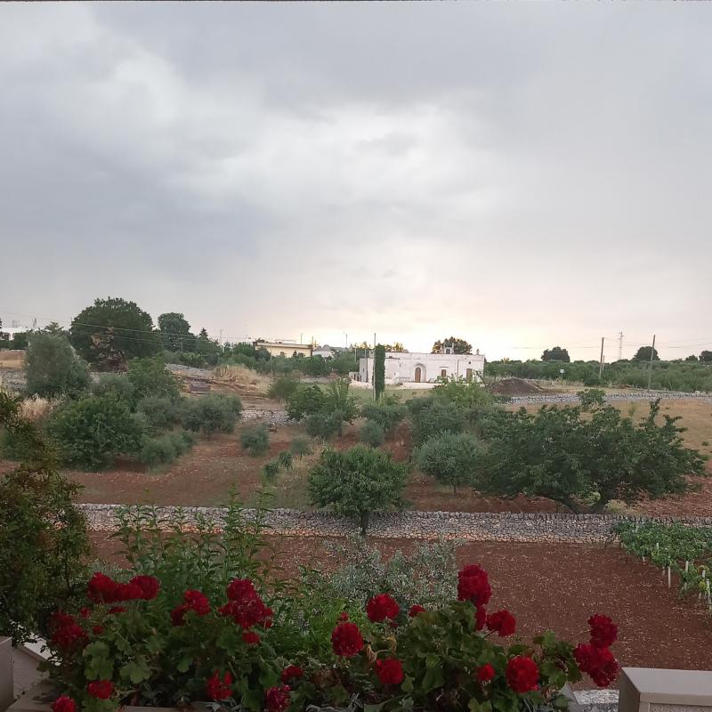 Fotosegnalazione di Locorotondo