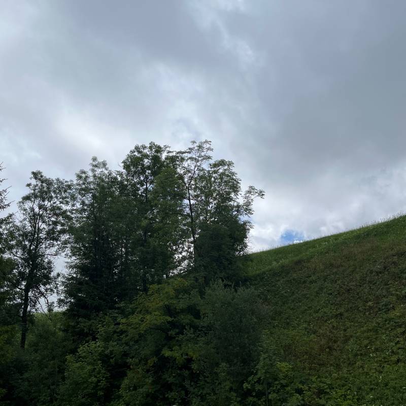 Fotosegnalazione di Sesto