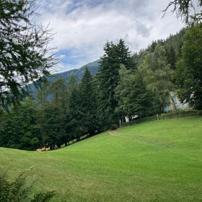 Piane di san bernardo