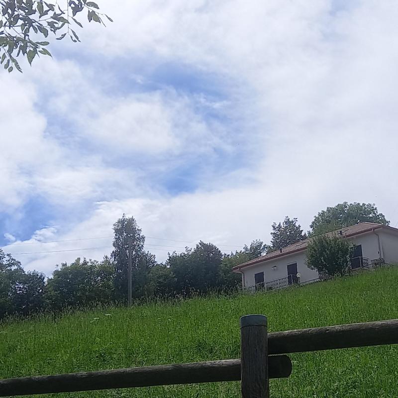 Fotosegnalazione di Roncola