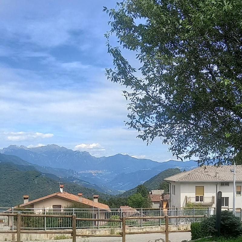 Fotosegnalazione di Roncola