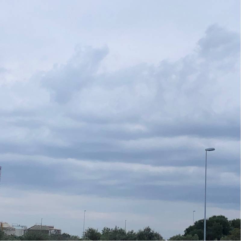Fotosegnalazione di Triggiano