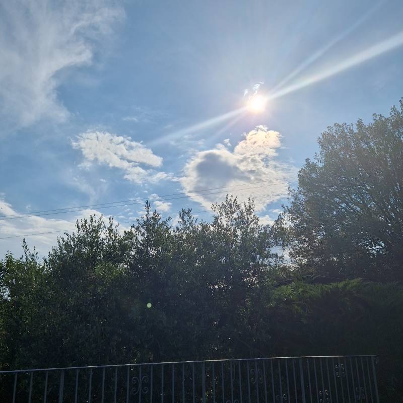 Fotosegnalazione di Lamporecchio