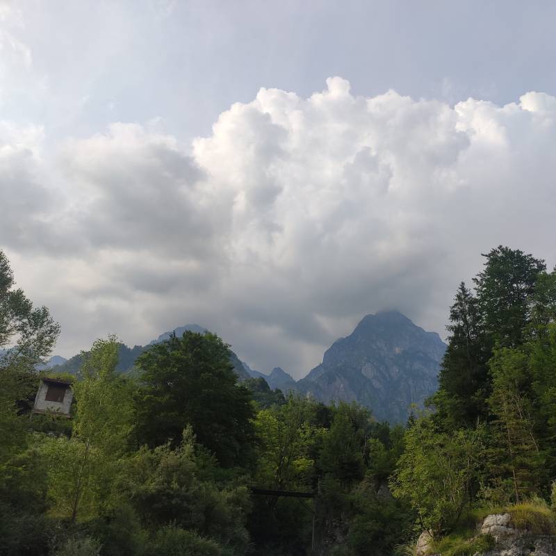 Fotosegnalazione di Andreis