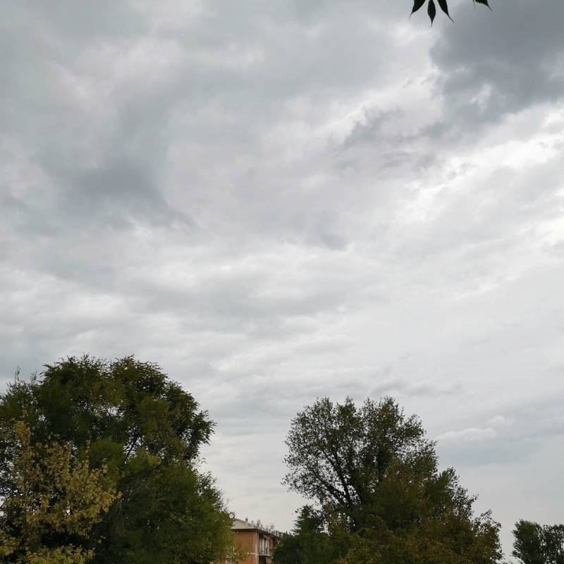 Fotosegnalazione di Monsano